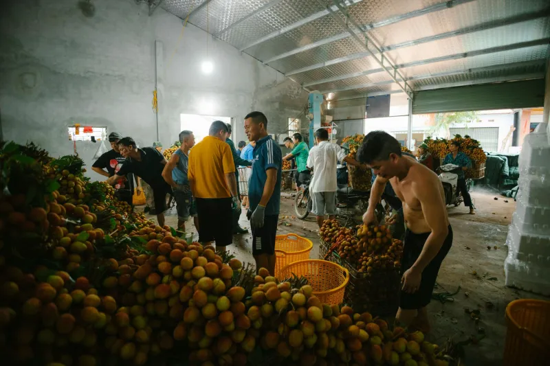 The Wholesale Hookup: Getting Into Vietnamese Community Bulk Networks Without the Warehouse Club Card